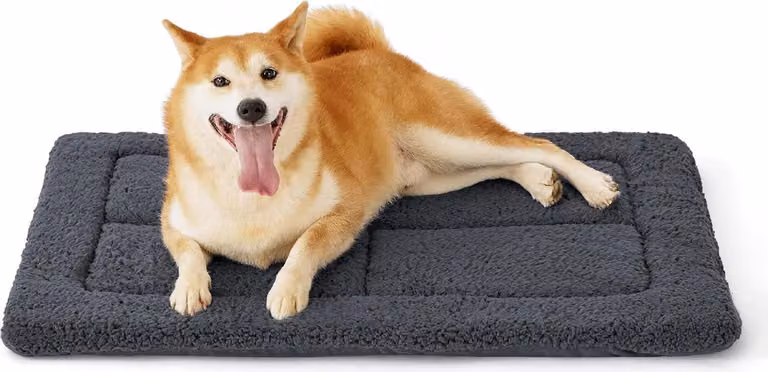 Tappeto lavabile per cani Cuscino medio per cani lavabile 89x58 cm con imbottitura in schiuma ad alta densità Materasso per cani in peluche Sherpa grigio scuro