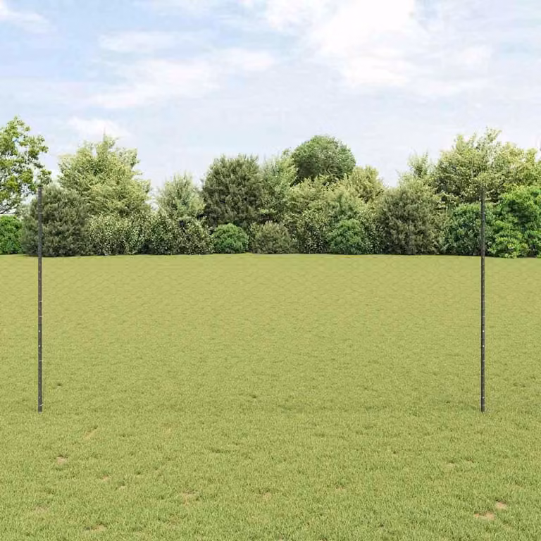 Maison Exclusive - Recinzione con Posto Grigio 1,5 x 100 m Acciaio