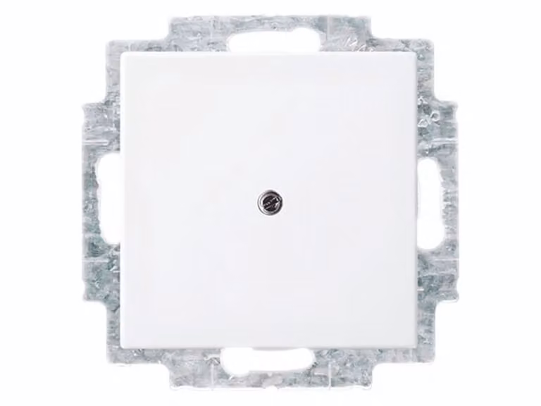Busch-Jaeger 2538-914 Disco centrale cieco con anello di supporto Balance SI bianco alpino
