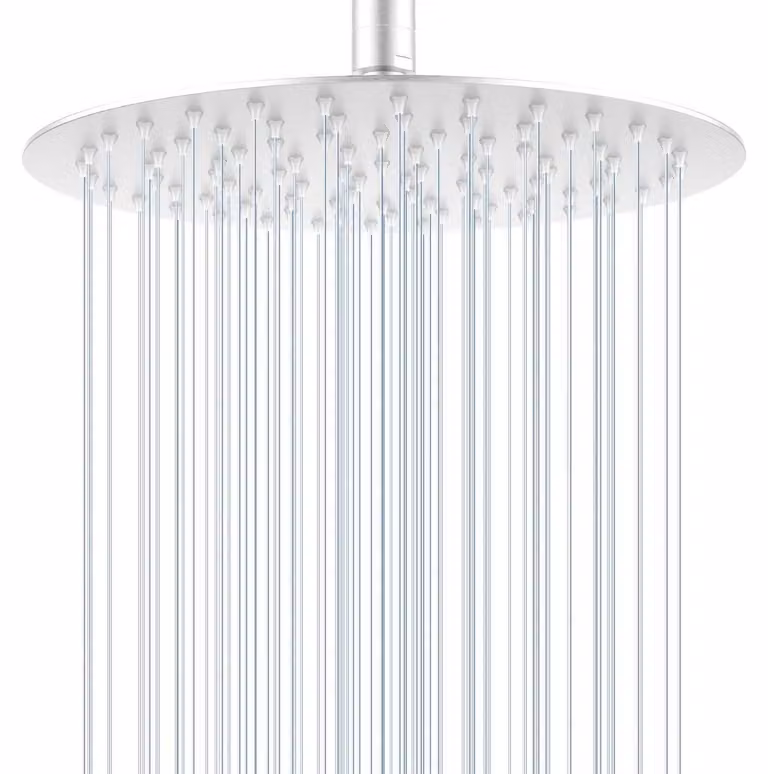 Doccia a soffitto Regendusche, diametro 25 cm, rotonda, finitura in nichel spazzolato, interamente in acciaio inossidabile 304, a risparmio idrico, con ugelli in silicone anti-intasamento, da montare a soffitto