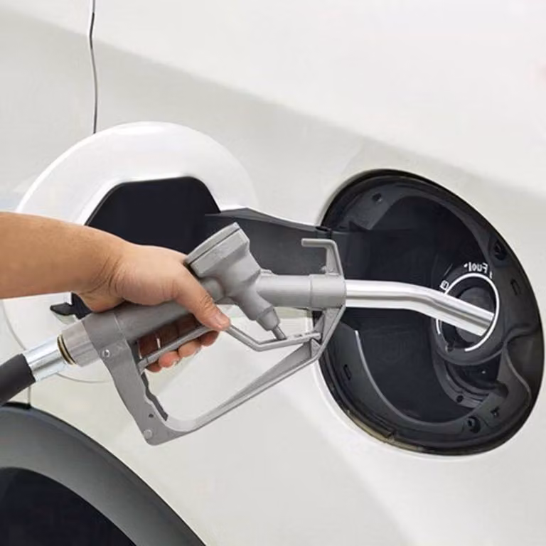 Pompa diesel autoaspirante - pompa di trasferimento elettrica da 12V, 175W