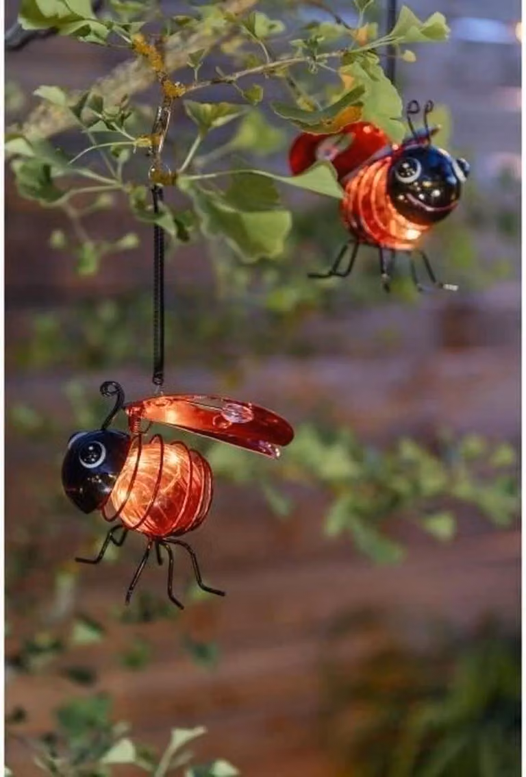 Coccinella solare Galix