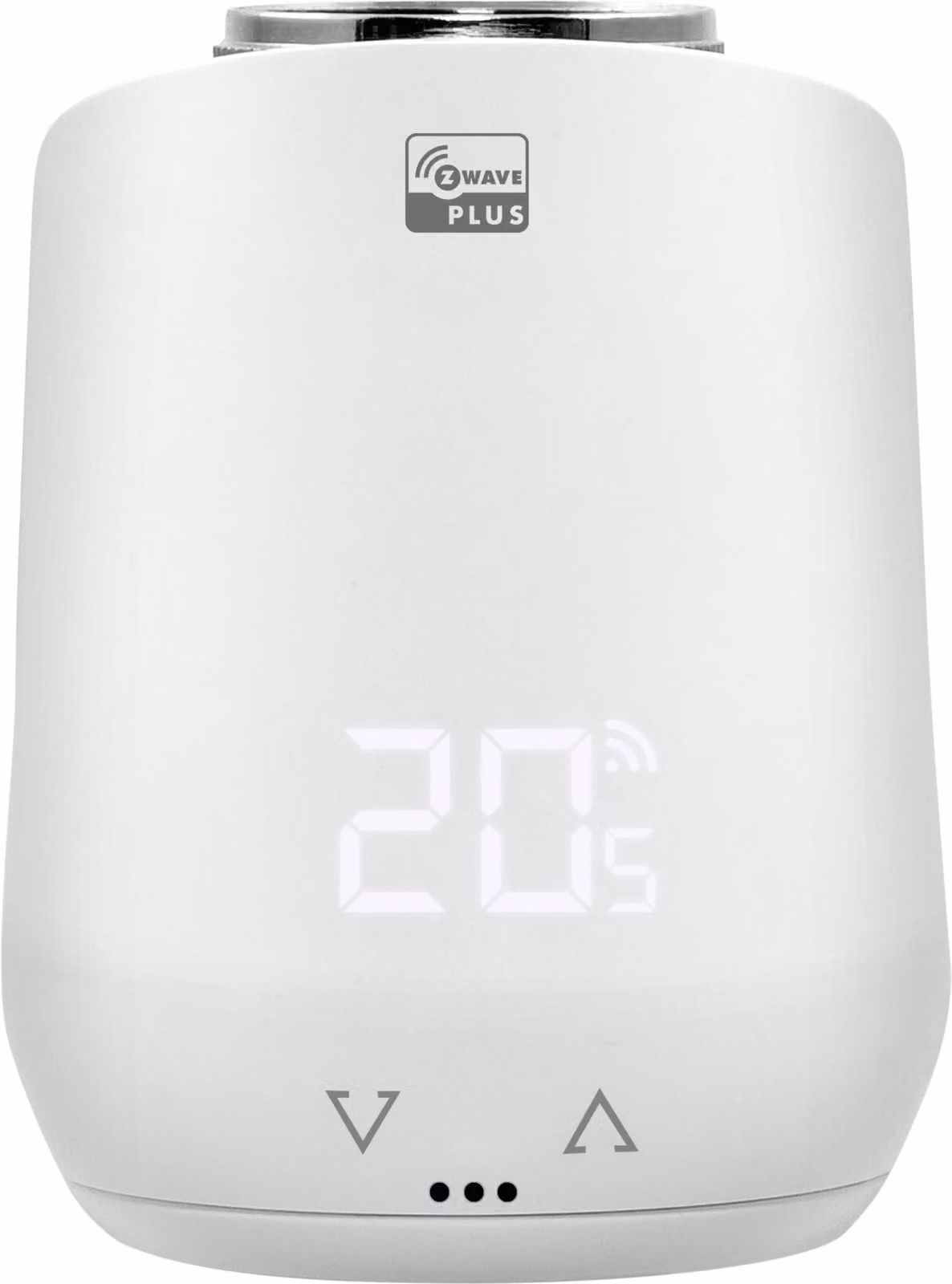 Termostato del radiatore 3