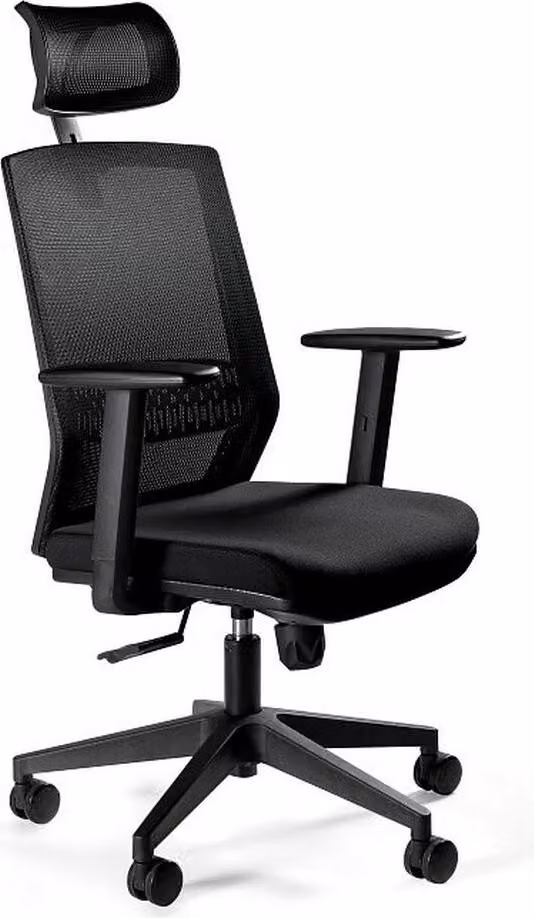 Ergonomic office chair ESTA black