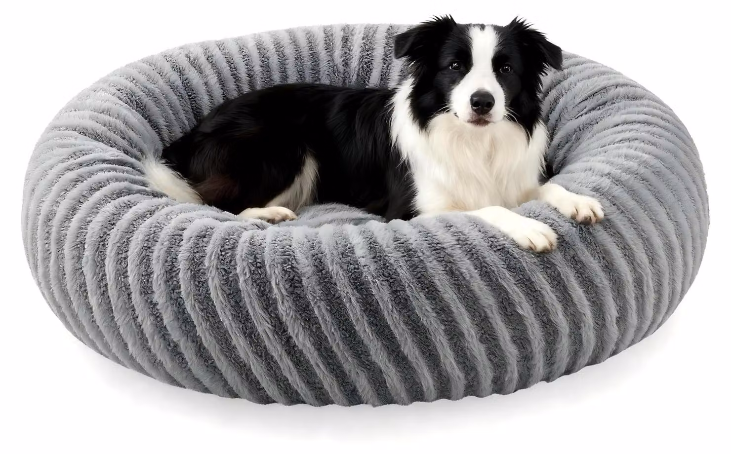 Cuccia morbida e confortevole per cani di piccola e media taglia