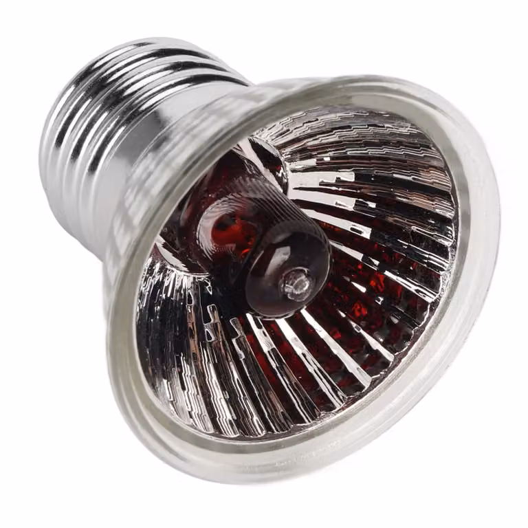Lampadina di ricambio da 25 W per lampada riscaldante per rettili, infrarossi, UVA/UVB, 220 V