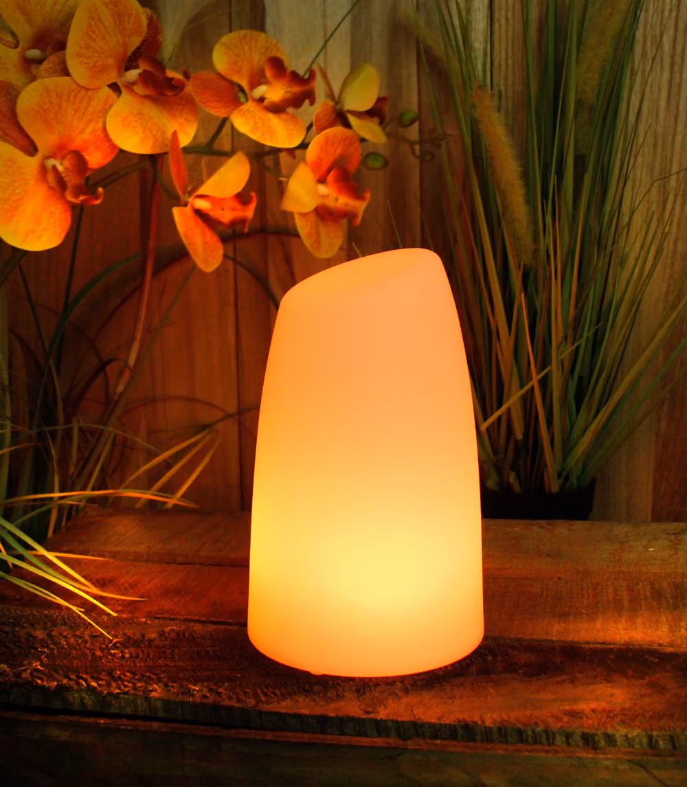 Lampada da tavolo LED PL201 ricaricabile con cavo di ricarica USB Telecomando RGB Batteria ricaricabile