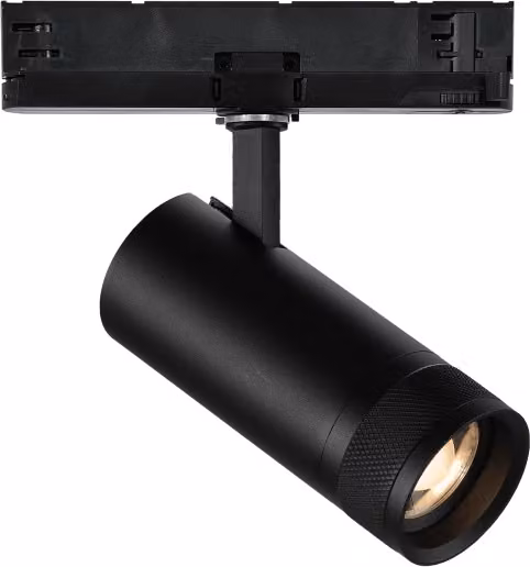 Tracklight Eos Ideal-Lux con LED da 25W, luce calda 3000K, dimmabile 1-10V, colore nero