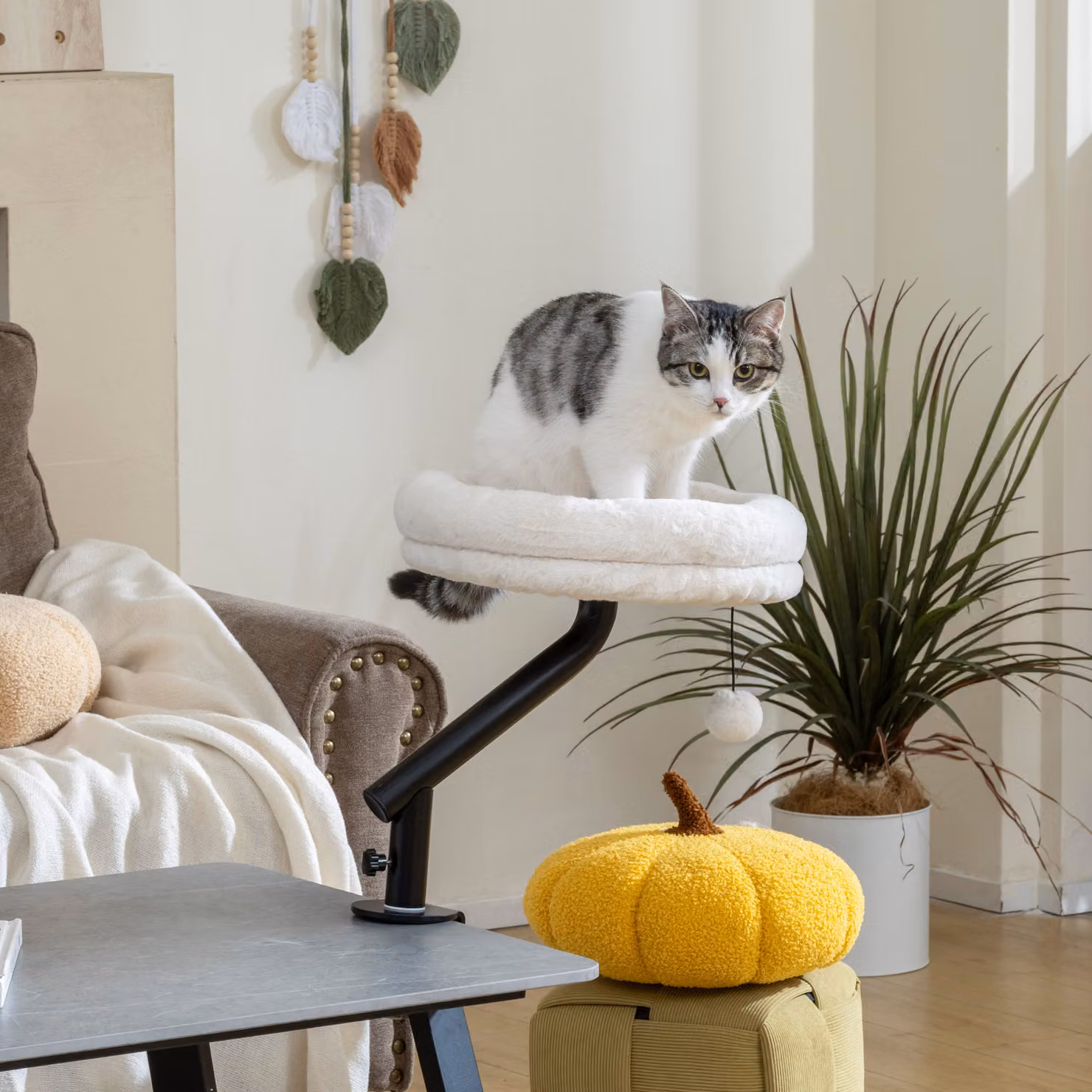 Letto girevole per gatti PawHut imbottito con altezza regolabile e rivestimento lavabile, beige e bianco – 2
