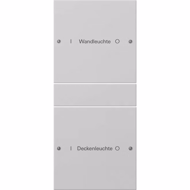 Set di interruttori a bilanciere Gira 2f (1+1) con scritta, sistema 55, grigio (laccato) 2202015