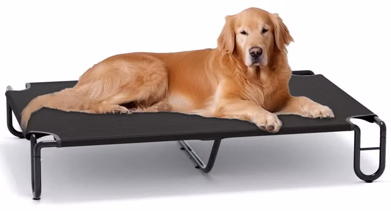Letto rialzato per cani, effetto rinfrescante, extra grande, colore nero