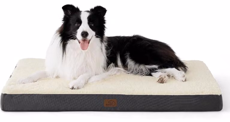 Cuccia ortopedica per cani, 91x69x8 cm, grigio/beige, lavabile, adatta a cani di grossa taglia