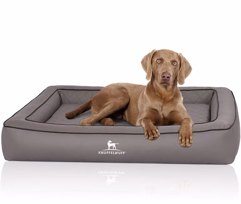 Knuffelwuff Cuccia ortopedica in Pelle finta trapuntata al laser Hampstead 155 x 125 cm Grigio