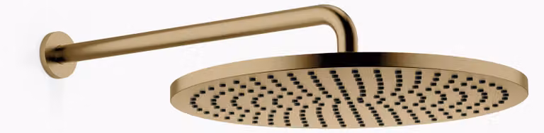 Douche de pluie Dornbracht avec fixation murale, Ø 400mm, saillie 450mm, flowReduce, 28658970-39, 28658970-39