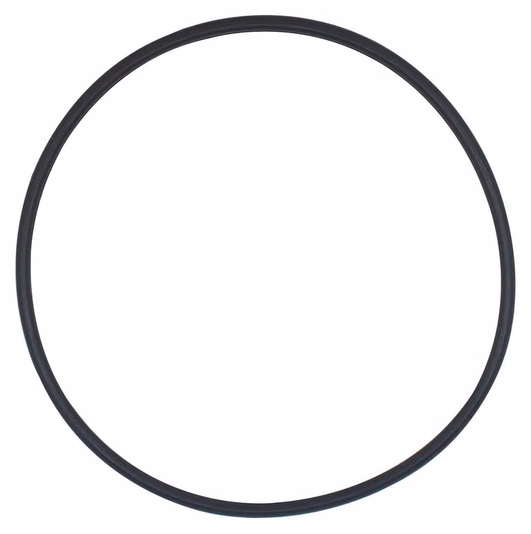 Guarnizioni O-ring per filtro di pompa per piscina
