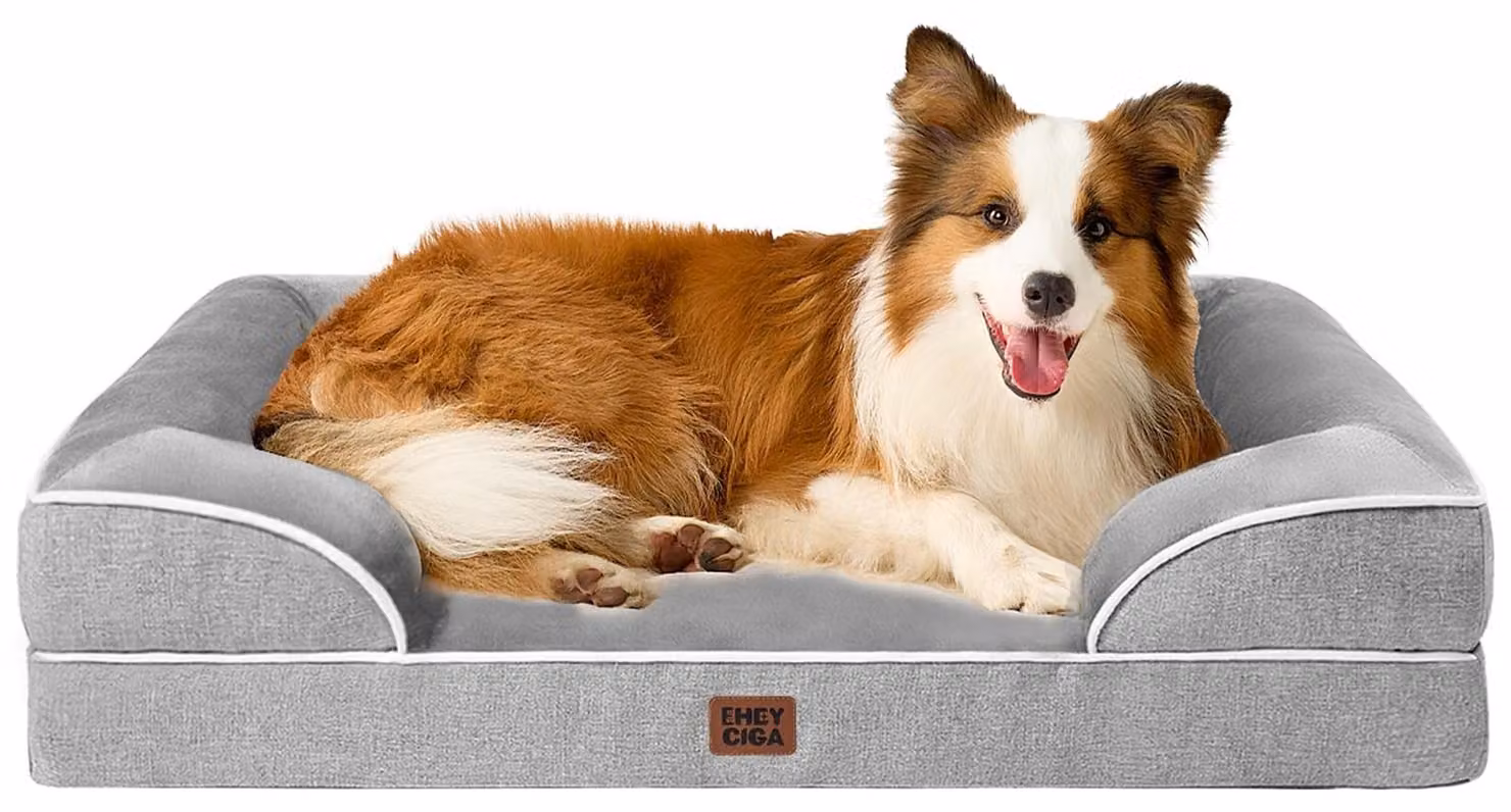 Cuccia ortopedica per cani - Realizzata in memory foam - Grande