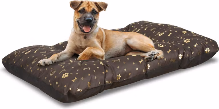 Cuscino per cani PRESTIGE 100x70 cm impermeabile bone golden