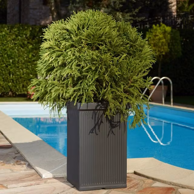 Vaso per piante Garden Italia Quadro Millerighe in resina, resistente al gelo e antiurto, colore Antracite, L: 42 cm, H: 63 cm