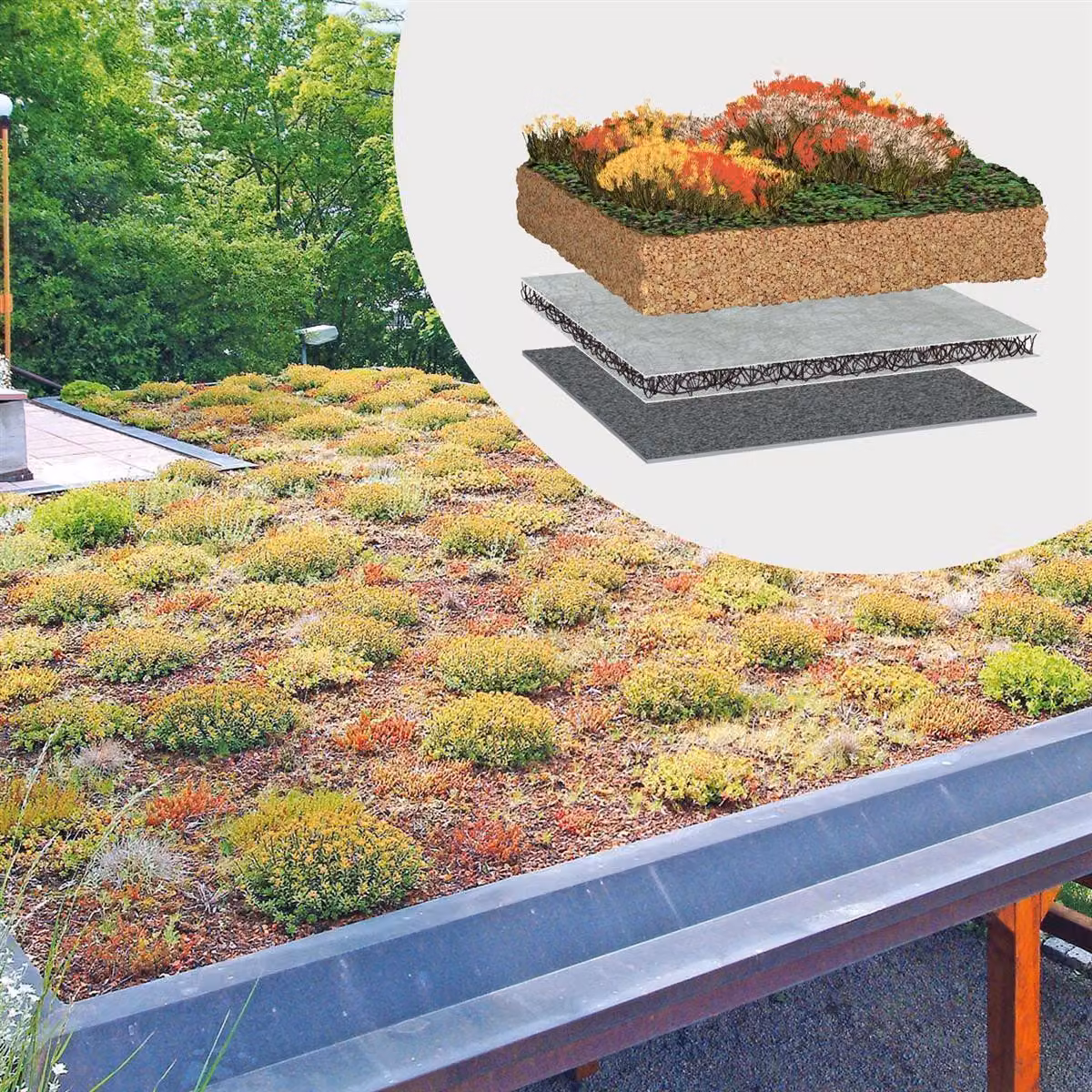 BauderGREEN Gründachpaket Extensiv 100kg/m² - 10m²
