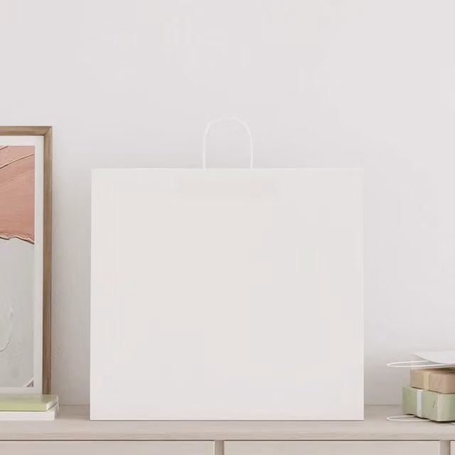 Sacchetti di Carta con Manici Bianchi DESIGN IN, Confezione da 250 pezzi, L/P/H: 54 x 15 x 49 cm