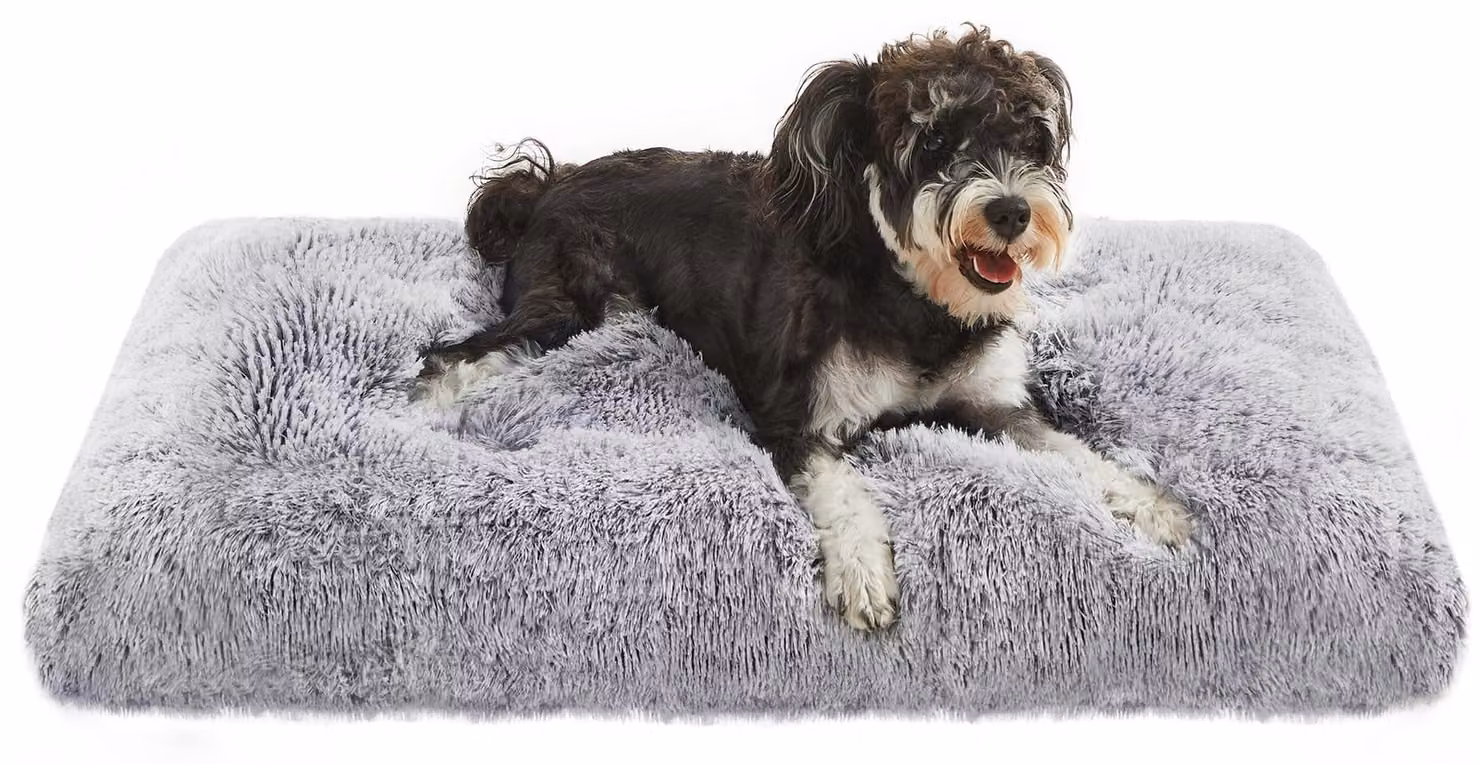 Cuccia per cani Feandrea, cuscino per cani, tappetino morbido per cani, peluche lungo, 80 x 50 cm, imbottitura soffice, lavabile in lavatrice, multifunzionale, colore grigio sfumato PGW201G01