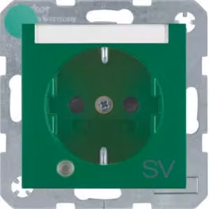 Berker 41101913 Presa SCHUKO con LED di controllo, campo di etichettatura verde, opaco Berker S.1/B.3/B