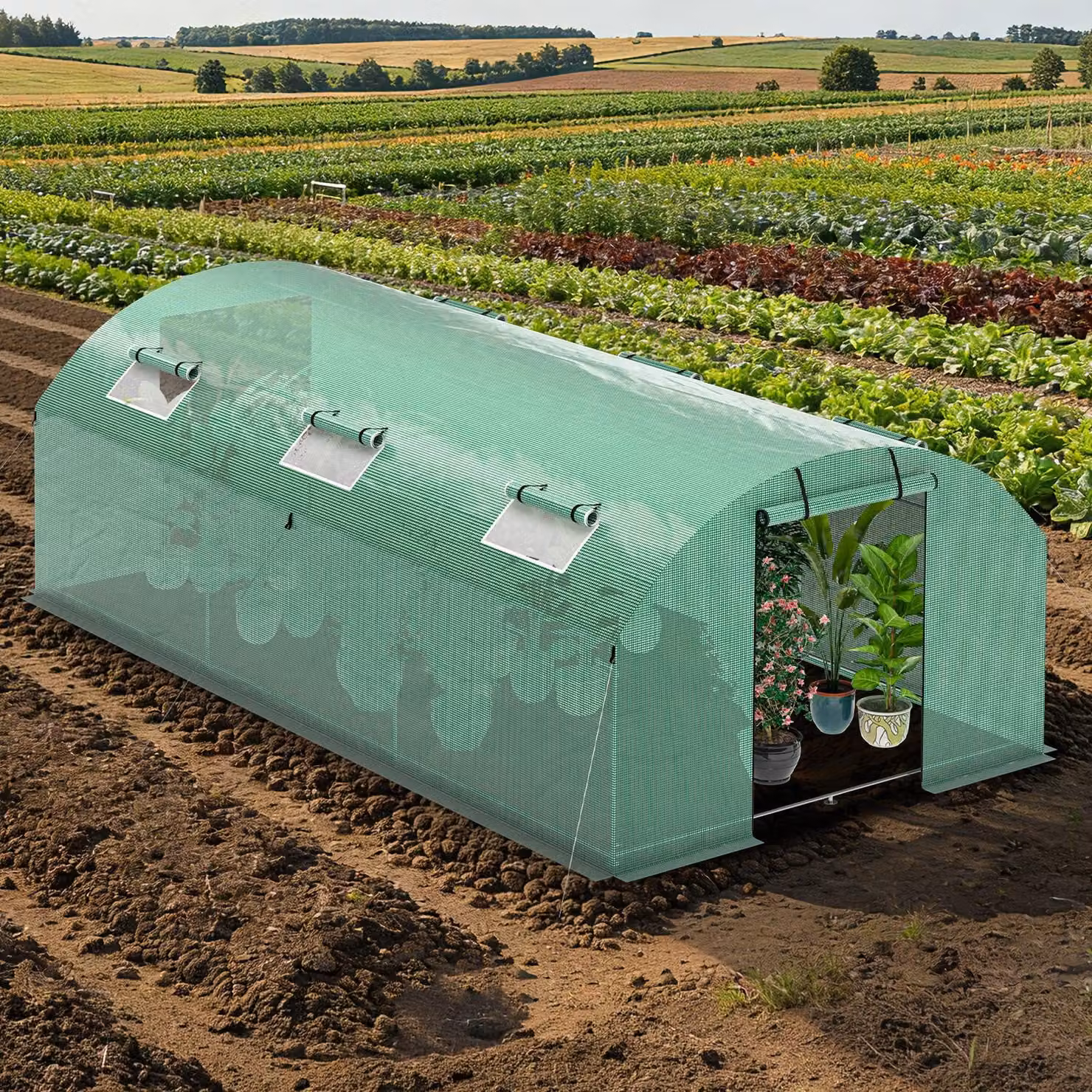 Serra Ikodm, serra per pomodori con porta e 6 finestre, 300x600x200 cm, verde