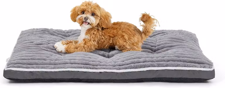 Cuccia per cani, 75 x 50 x 7 cm, grigia, in morbido peluche, con base antiscivolo, ideale per il soggiorno