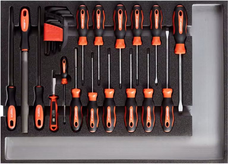 GEDORE rosso R22350002 Set di utensili cacciaviti + lime CT modulo 26 pezzi, 3301683