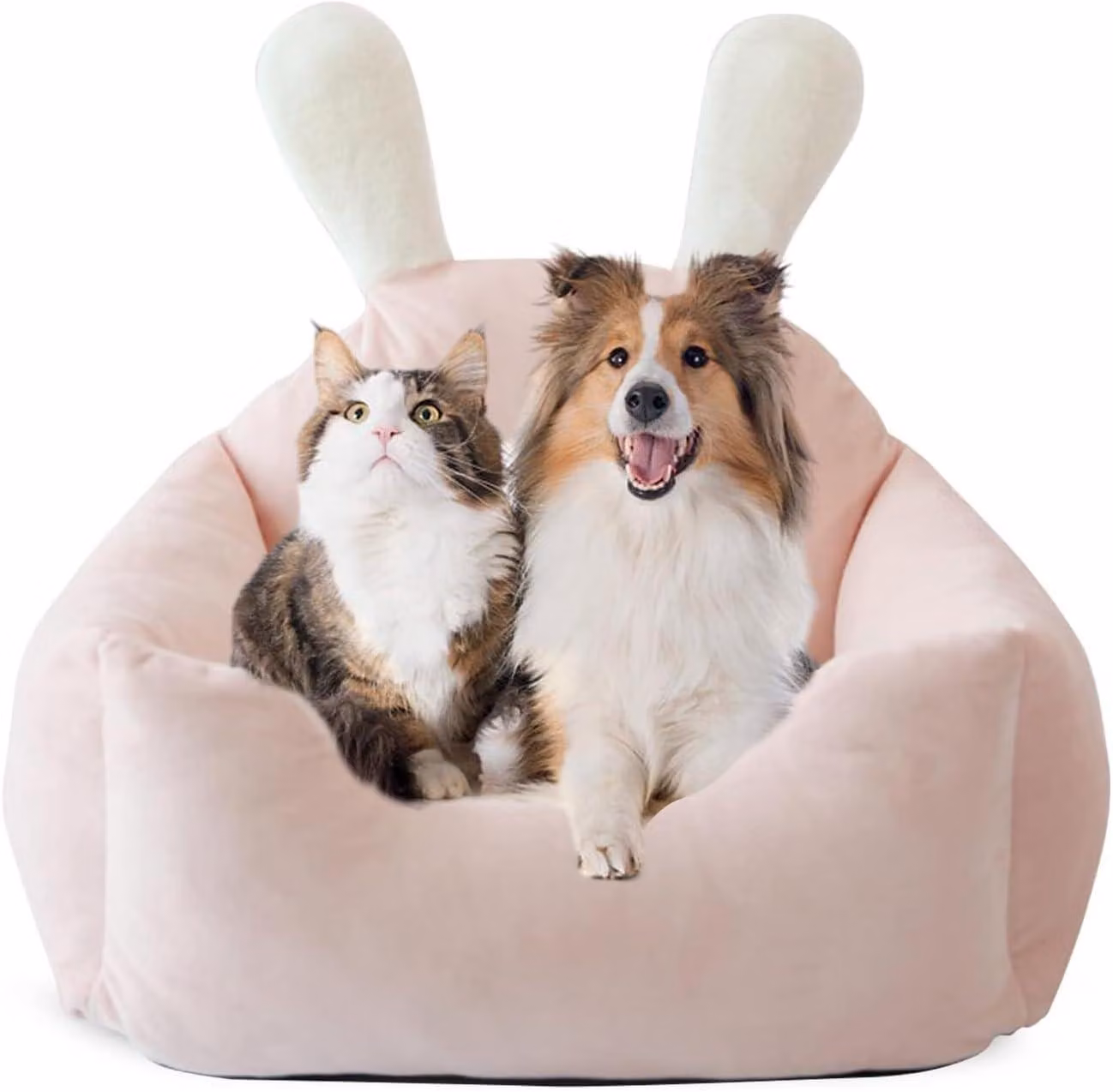 Cuccia per cani, lavabile, ortopedica, divano per cani, cuscino per animali domestici rimovibile, adatto a cani di piccola, media e grande taglia