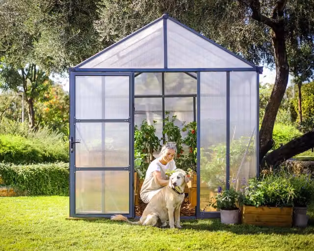 Serra da giardino Glory in policarbonato e acciaio zincato colore grigio L: 364 cm, P: 253 cm, H: 268 cm