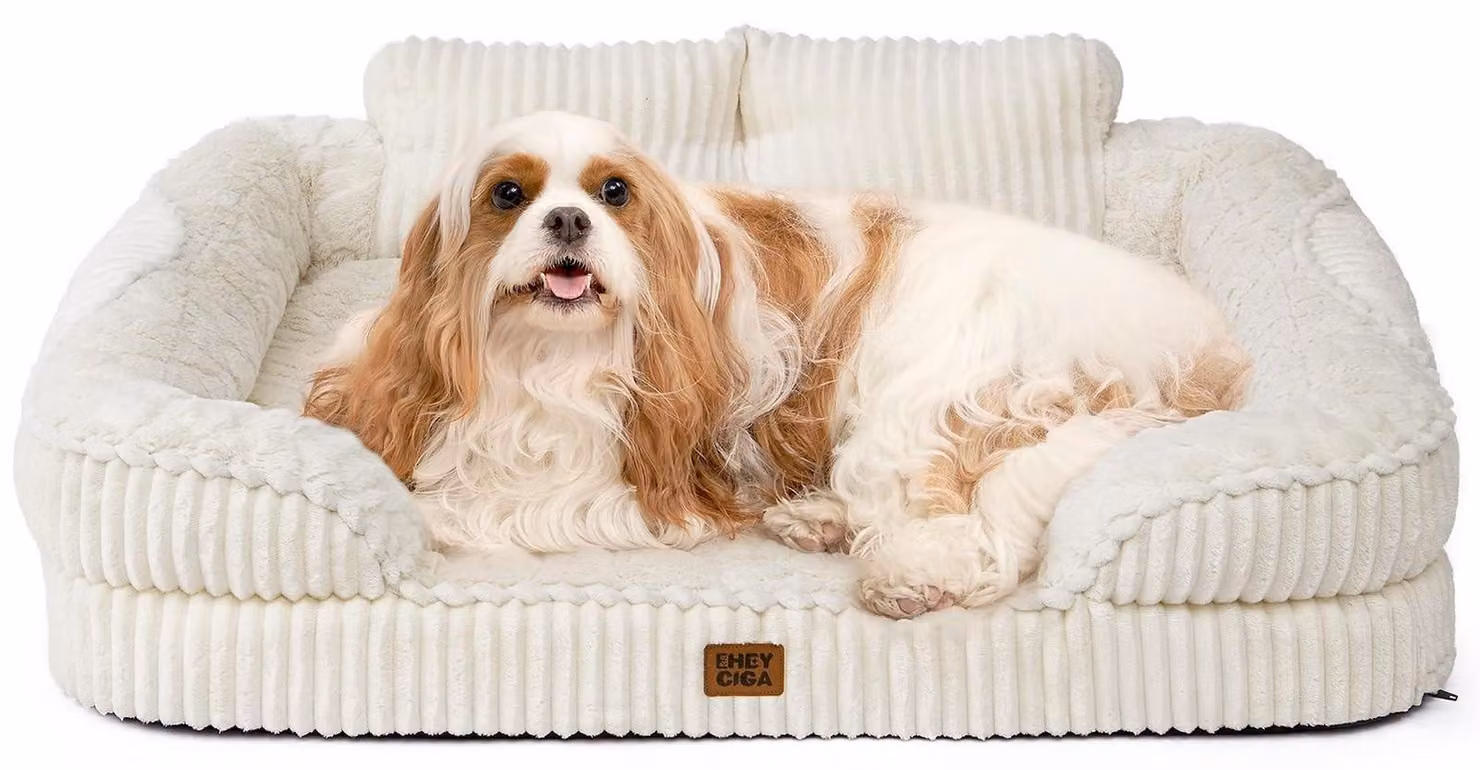 Solidchoice - Cuccia ortopedica per cani con memory foam e fodera rimovibile