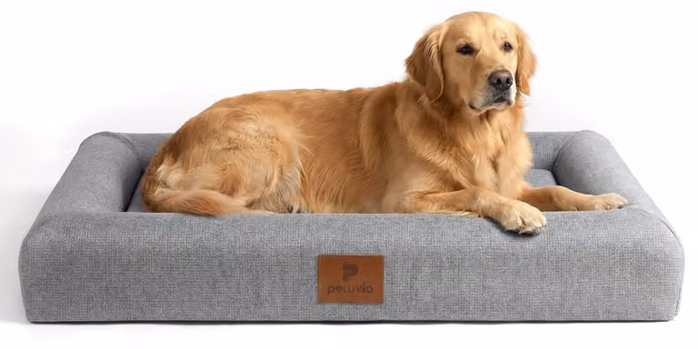 Letto ortopedico per cani, marca Peluvio Kibi, design piatto, senza bordi, antiscivolo