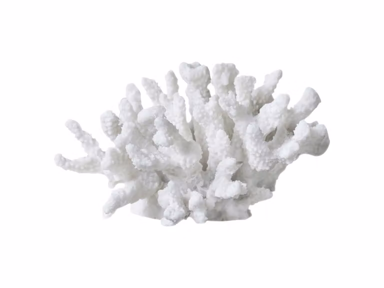 Coral Branches Oggetto Decorativo