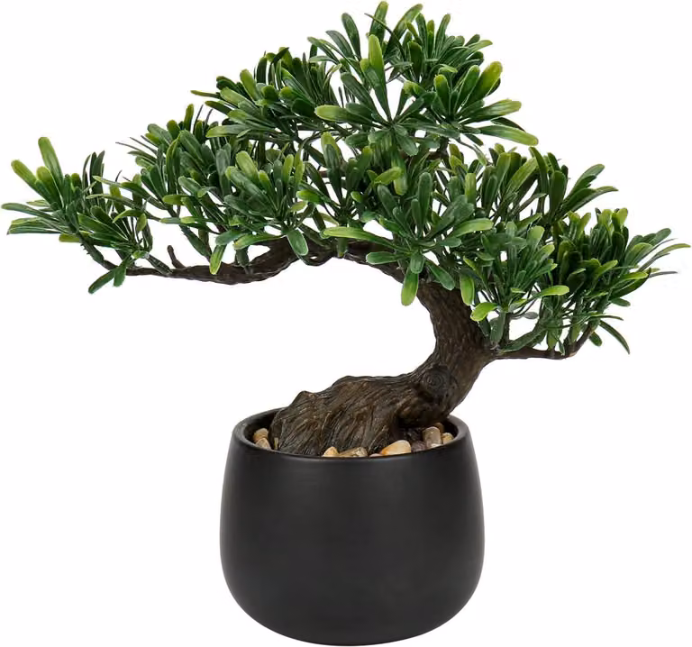 Bonsai artificiale Podocarpus 25 cm in vaso di Vetroceramica nero-3 - Albero artificiale per soggiorno e decorazione