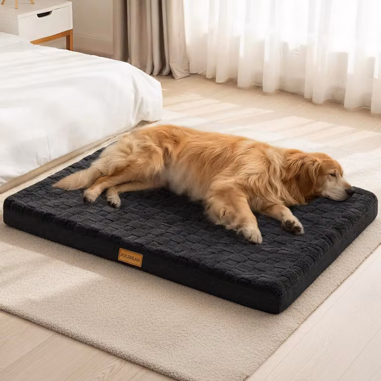 Cuccia ortopedica per cani, taglia media, 91x61 cm, colore nero