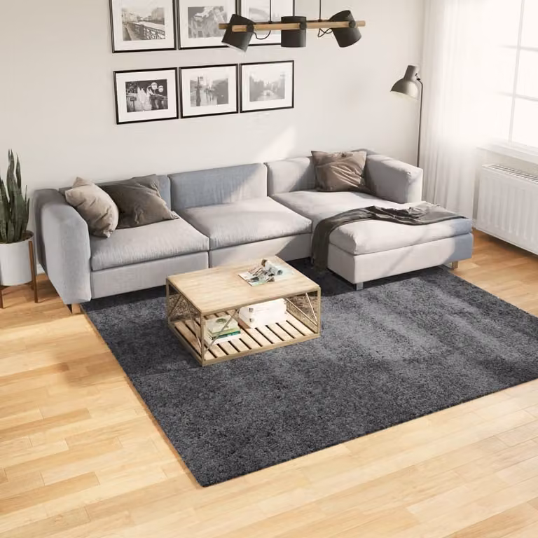 vidaXL Tappeto OVIEDO a Pelo Corto Antracite 240x240 cm