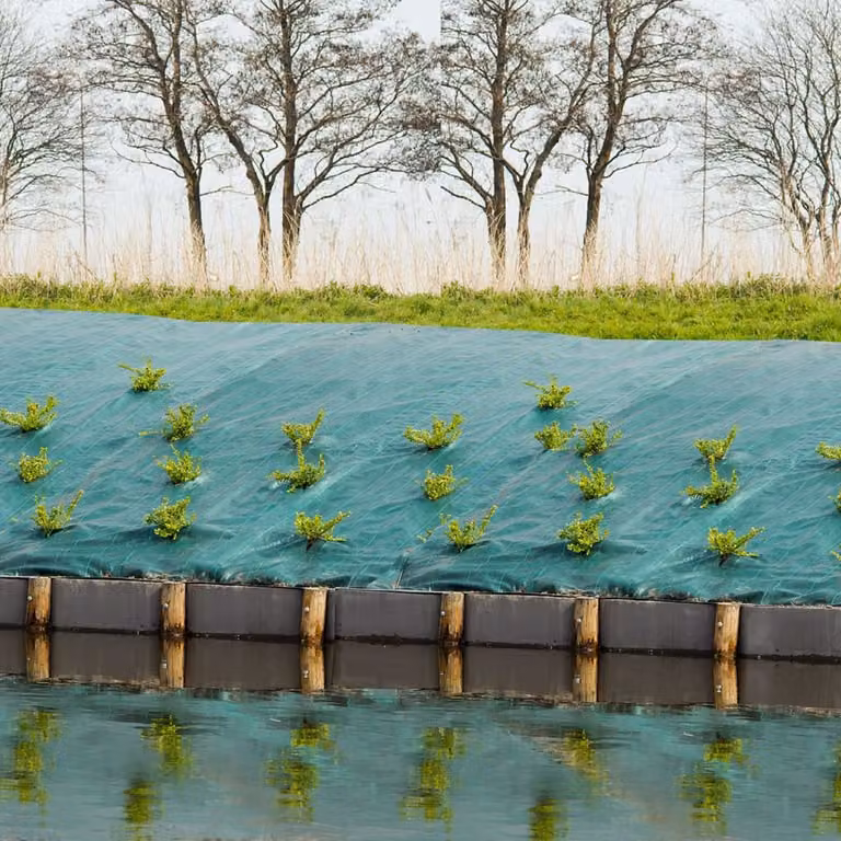 Tessuto naturale di protezione dalle erbacce 3,3×5 m verde
