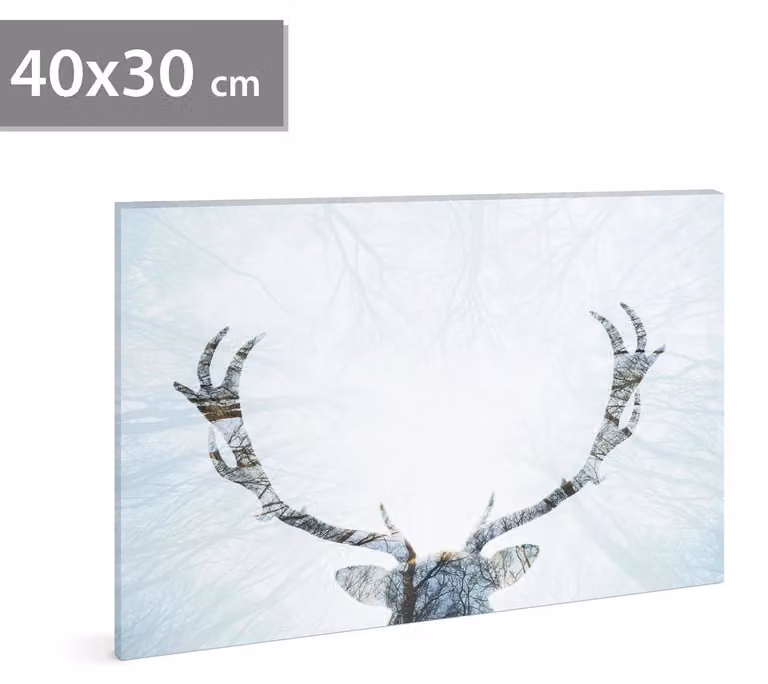 GLOBIZ LED - quadro illuminato - alimentazione: 2 batterie AA, dimensioni: 40 x 30 cm