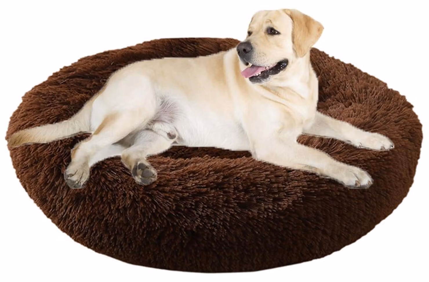 Cuccia per cani, cuccia per gatti, forma a ciambella, diametro 50 cm, colore caffè, lavabile, morbida e confortevole