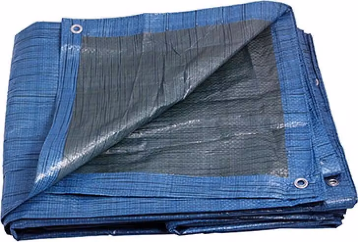 Telone Levior PE EKONOMIK, blu Dimensioni: 4 x 5 m