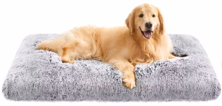 Feandrea Lettino per cani, cuscino per cani, morbido tappetino per cani, peluche lungo, 122 x 74 cm, imbottitura morbida, lavabile, multifunzionale, grigio sfumato PGW204G01