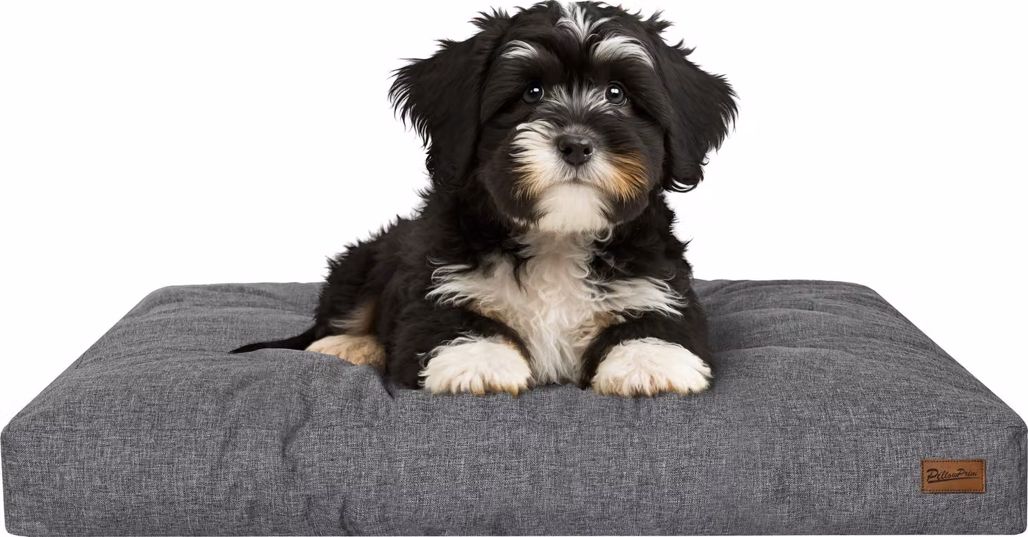 Materasso per cani "Grand Light" - 75x50cm - Cuccia idrorepellente - Rettangolare - Outdoor & Indoor | PillowPrim
