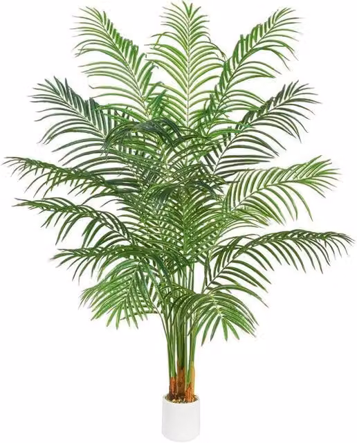 Palmaccia in Plastica 180 cm con Vaso Grande in Bianco per Interno Esterno