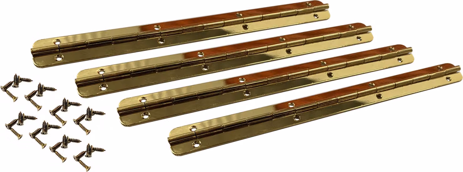 Set di 4 cerniere per pianoforte (oro, 175x17x1,2 mm, viti incluse)