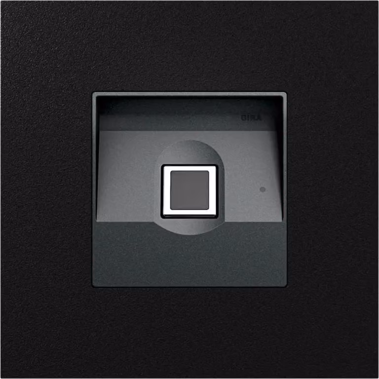 Gira Gira Keyless In Modulo per impronte digitali Sistema 106 Nero m 5551925