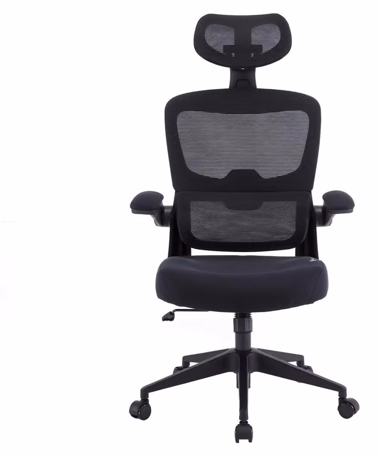 Sedia da ufficio ergonomica con braccioli regolabili