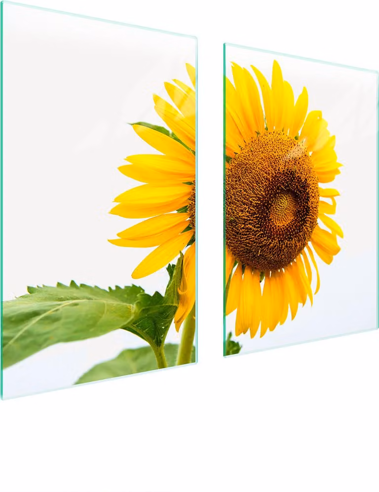 Piatto Di Protezione In Vetro Per La Cucina 65X52 Blume