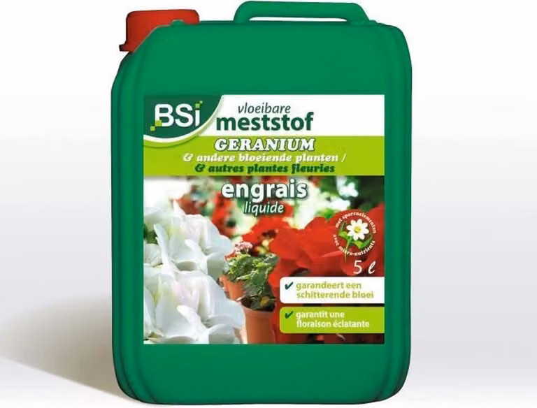 Concime organico BSI Specie di bosso 5 L