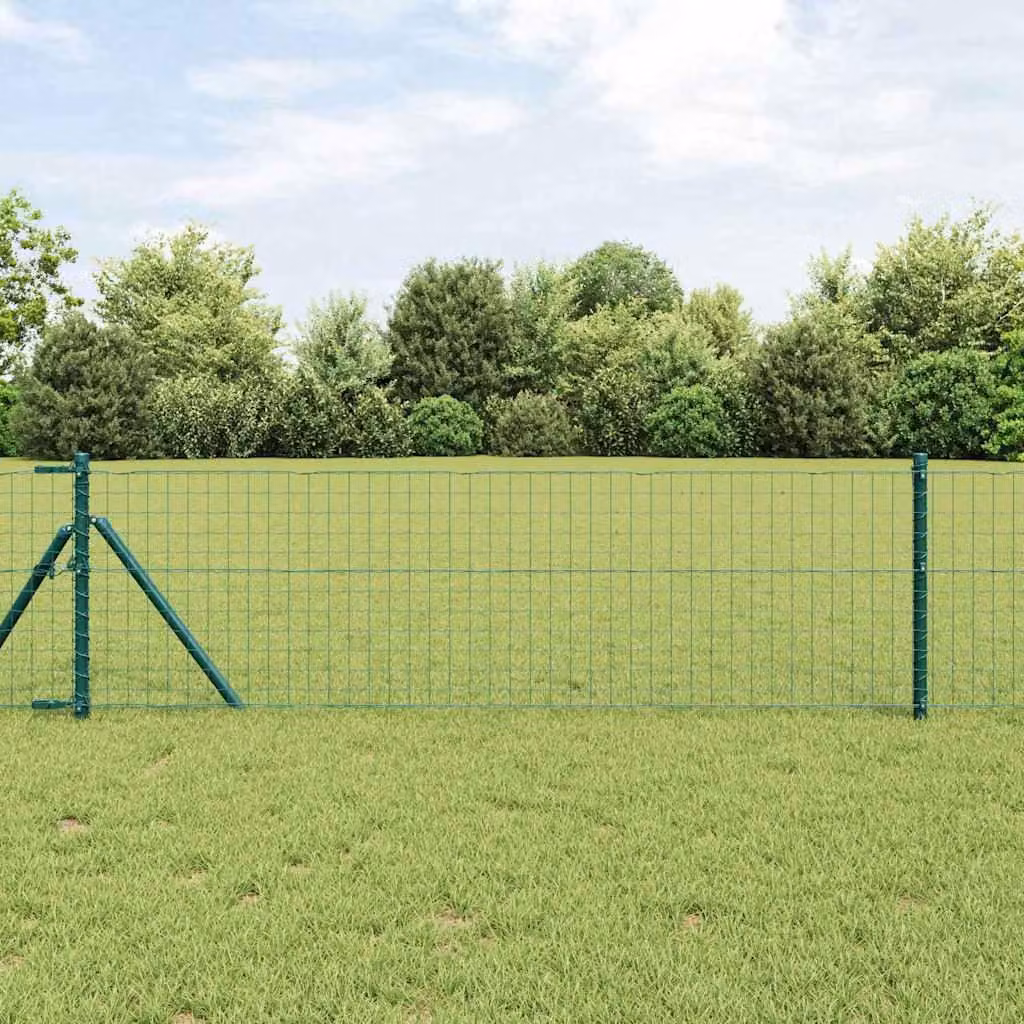 Maison Exclusive - Recinzione Eurozaun, 0,6 x 10 metri, ferro rivestito in PVC, colore verde